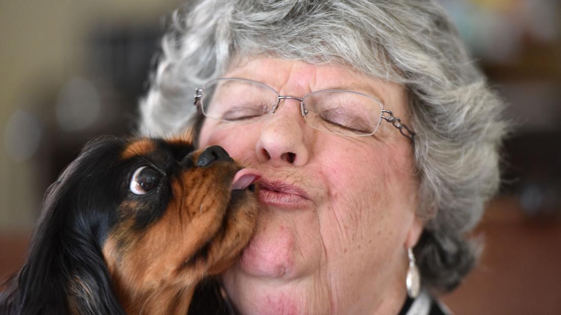 Maureen and her Cavalier King Charles Spaniel Zara, named after Queen Elizabeth's granddaughter, at home in Fayetteville. Photo: Hyosub Shin, hshin@ajc.com